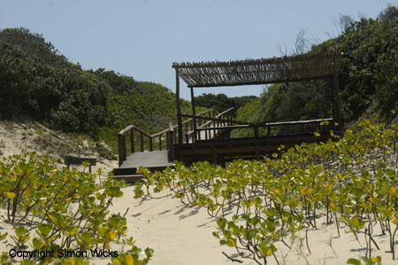 tartaruga_beach_18