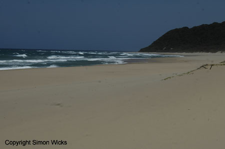 tartaruga_beach_19