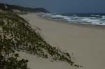 tartaruga_beach_17