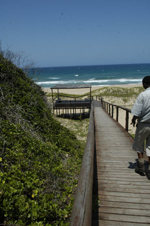 tartaruga_luxury_tented_camp_01