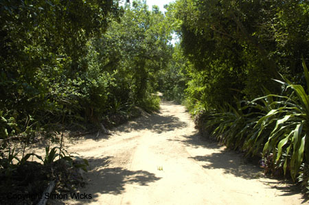 tartaruga_luxury_tented_camp_04