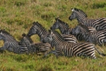 Chitengo Safari Camp Mozambique