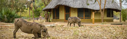 Montebelo Gorongosa Lodge & Safari