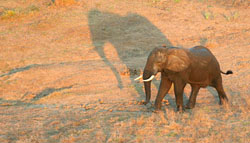 Montebelo Gorongosa Lodge & Safari