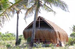 Casa de Cocos, Guinjata