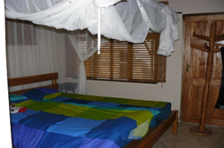 Dumela Guinjata  mozambique