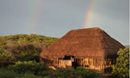 Island Rock