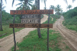 Tartaruga Beach