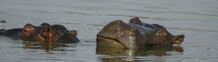 Kruger National Park