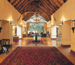 Tinga Game Lodge Kruger Park South Africa Kruger Park
