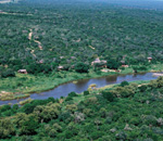 Tinga Game Lodge Kruger Park South Africa Kruger Park
