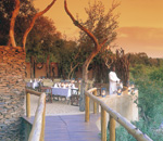 Tinga Game Lodge Kruger Park South Africa Kruger Park