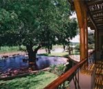 Tinga Game Lodge Kruger Park South Africa Kruger Park