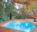 Tinga Game Lodge Kruger Park South Africa Kruger Park