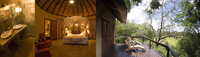 Sabi Sand Reserve in Kruger National Park