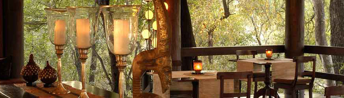 Sabi Sabi Little Bush Camp Sabi Sands Kruger National Park