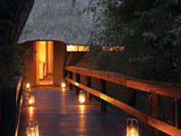Sabi Sabi Little Bush Lodge - Awaiting Photo