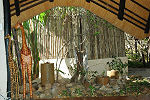 Gomo Gomo Lodge Timbavati South Africa Kruger Park
