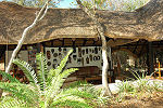 Gomo Gomo Lodge Timbavati South Africa Kruger Park