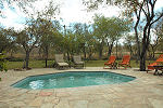 Gomo Gomo Lodge Timbavati South Africa Kruger Park