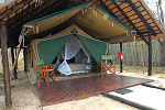 Gomo Gomo Lodge Timbavati South Africa Kruger Park