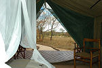 Gomo Gomo Lodge Timbavati South Africa Kruger Park