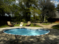 Gomo Gomo Game Lodge, Timbavati Reserve