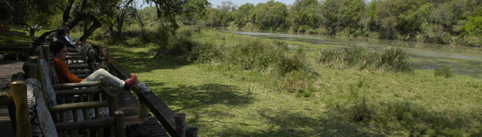Gomo Gomo Game Lodge Timbavati