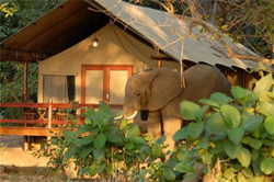 Lugenda Wilderness Private Camp Lugenda Mozambique