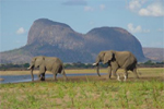 Lugenda Wilderness Camp Mozambique