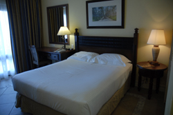 Holiday Inn Mozambique