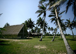 Bonito Bay