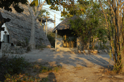 Libelula Mozambique