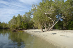 Beautiful peaceful beaches at Pemba dive and Bush Camp