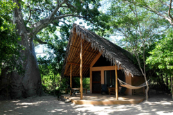 Pemba Dive and Bush Camp Mozambique