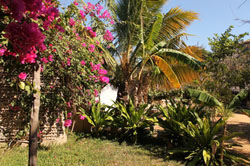 places to stay in Pemba