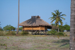 Ulala Lodge, Pemba