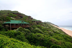 Baleia Á Vista