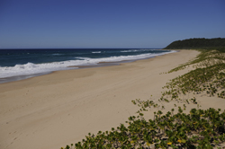 places to stay in Ponta do Ouro