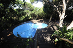 Tartaruga Mozambique