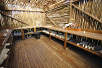 Tartaruga Mozambique