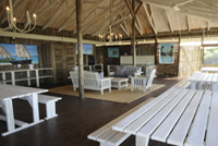 Tartaruga Mozambique