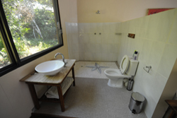 Tree Tops Lodge Mozambique