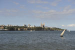 starlight maputo cruise