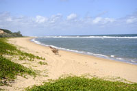 http://www.mozambiquetravelservice.com/accommodation/xai_xai_accommodation.html