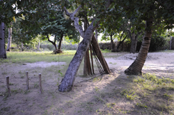 places to stay in Tofo