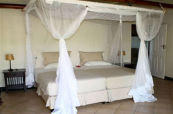 accommodation at vilanculos beach
