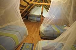 honeypot mozambique
