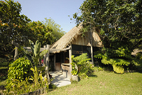 Honeypot Mozambique
