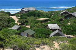 Paradise Magoo, Xai Xai
